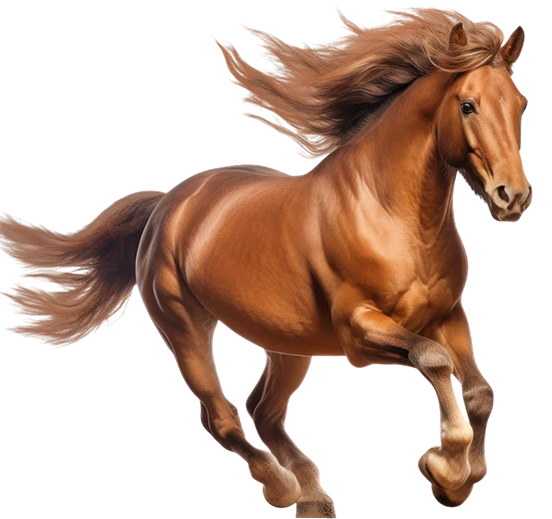 Running Horse